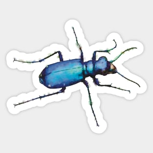 Metallic Blue Tiger Beetle Sticker